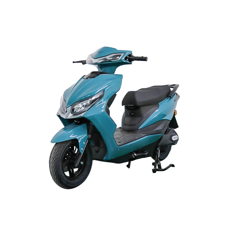 Elektrische fiets Algemene batterijauto voor volwassenen