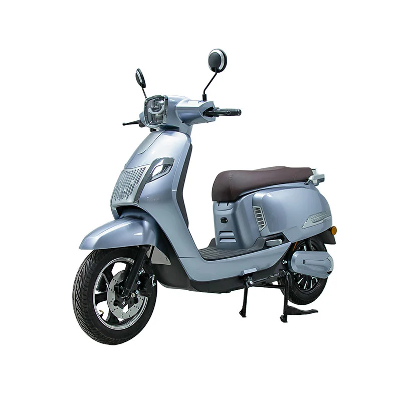 Elektrische motorfiets voor volwassenen 10 inch 800W motorfiets