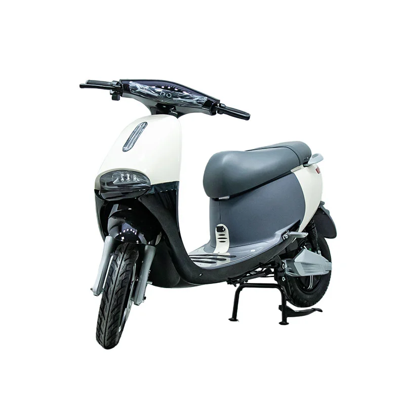 Elektrische motorfiets met 10 inch 1000W motorfiets